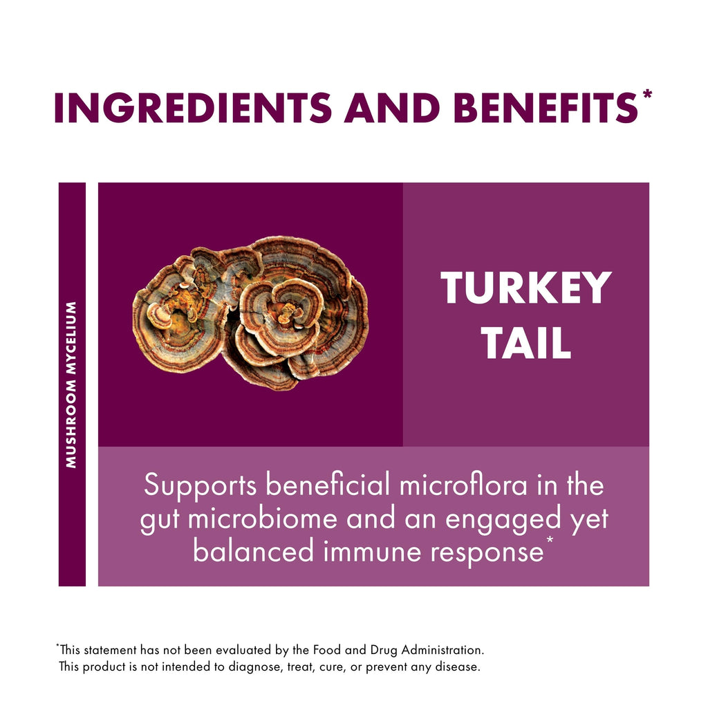 Host Defense Turkey Tail Capsules - Digestive Health & Immune Response Support Supplement - Mushroom Supplement for Gastrointestinal & Gut Microbiome Support - 120 Capsules