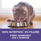 Purina ONE Natural Hairball Control Dry Cat Food, 7 lb Bag