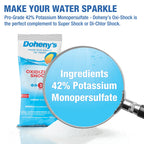 Doheny's Chlorine-Free Oxidizing Shock | Fast-Dissolving | Removes Chloramines & Boosts Free Chlorine | Safe to Swim 15 Minutes After Application | 12 x 1lb Bags (12lb Total)
