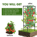 MQHUAYU 3 Pack Tomato Cages, Square Tomato Plant Stakes Support Cages Trellis for Garden Climbing Vegetables Flowers Fruits,Extra Bold,Black