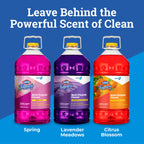 CloroxPro Fraganzia Multi-Purpose Cleaner, Spring Scent, 175 Fluid Ounces (Package May Vary)