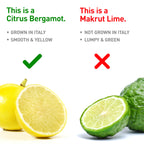 BergaMet Citrus Bergamot Supplement, 170:1 Extract, 1200mg per Serving, 80% Polyphenols, Italian Citrus Bergamot, 180 Capsules, 3 Months, Made in the USA