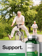 Horbäach Jiaogulan Capsules | 120 Count