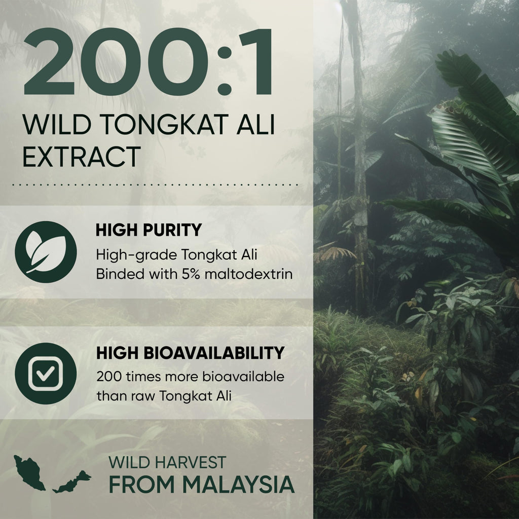 Jungle Powders Tongkat Ali for Men Powder 200:1 Extract 282 Servings 5 Ounce Bag Eurycoma Longifolia Powder Supplement Tonkat-Ali Pure Longjack Root Traditional Mens Health Support for Drive Passion