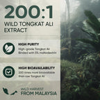 Jungle Powders Tongkat Ali for Men Powder 200:1 Extract 282 Servings 5 Ounce Bag Eurycoma Longifolia Powder Supplement Tonkat-Ali Pure Longjack Root Traditional Mens Health Support for Drive Passion