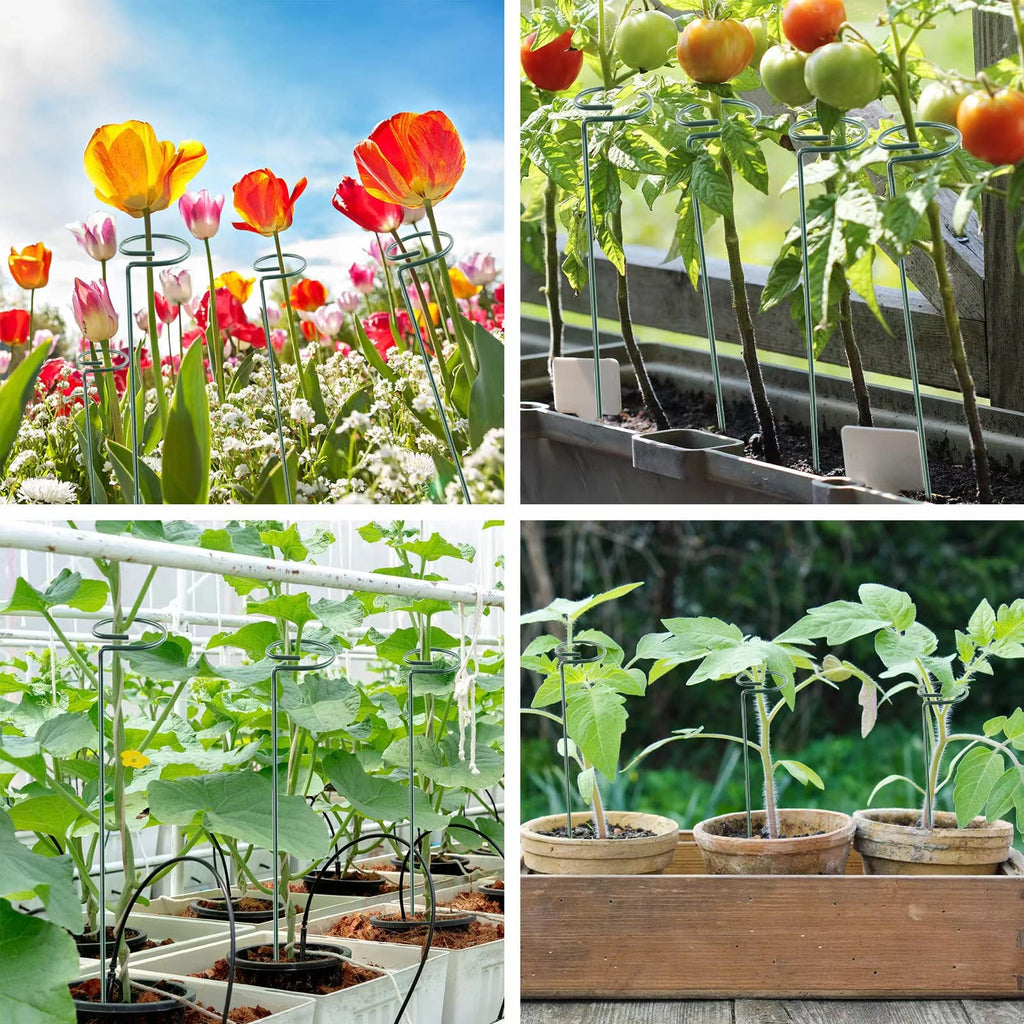 Thealyn 20 Pack 16 Inch Plant Support Stakes, Metal Single stemmed Flower Support Hoops，Garden Plant Stakes Plant Prop for Amaryllis Orchid Lily Rose Peony Tomatoes Gladiolus