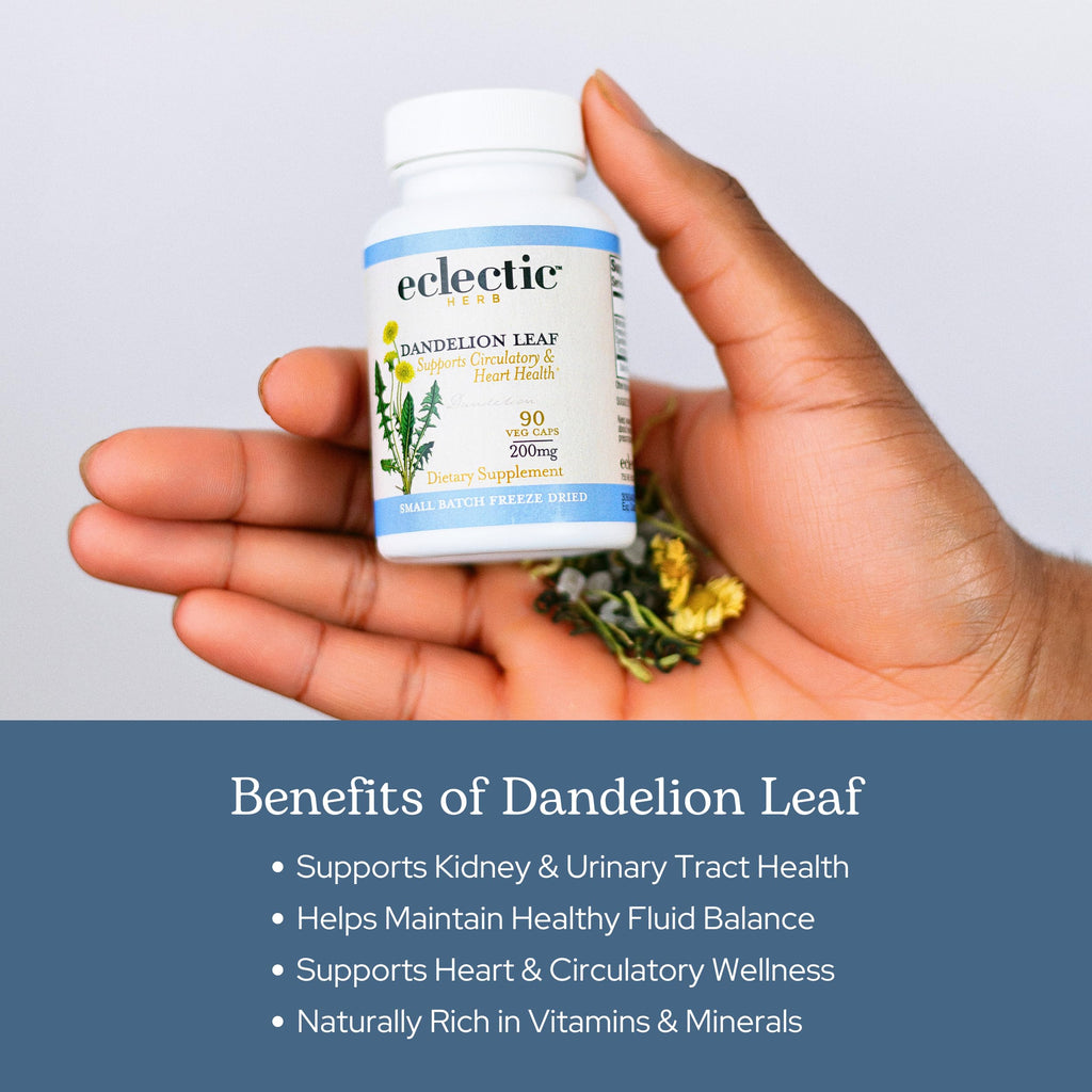 Eclectic Herb - Organic Freeze-Dried Dandelion Leaf Capsules | Supports Cleansing, Digestive Function & Heart Health | Natural Herbal Supplement | US-Grown, Vegan, Non-GMO (90 CT | 200 mg)