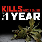 Ortho GroundClear Year Long Vegetation Killer2 Concentrate, 2 gal.