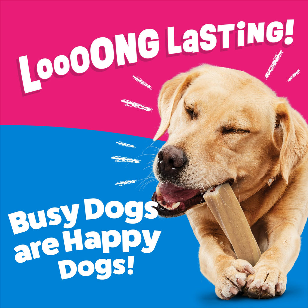 Purina Busy Bone Adult Large Dog Chew Treats, Original, 10 ct Pouch