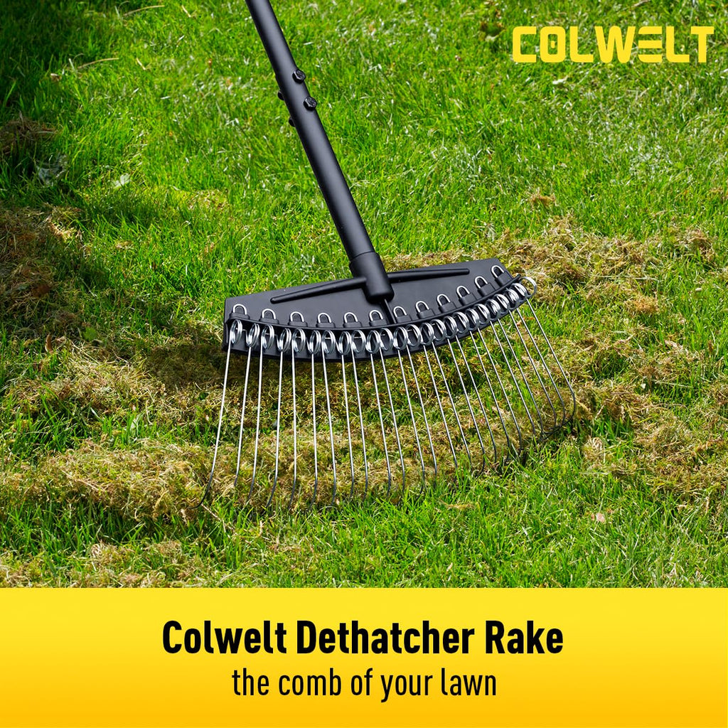 Colwelt Thatch Rake, Dethatcher Rake with Thin, Curved Spring Steel Tines, Dethatching Thatching Rake for Lawns with 61’’ Steel Handle, Lawn Tine Rakes for Pine Needles, Dead Grass, Garden Debris