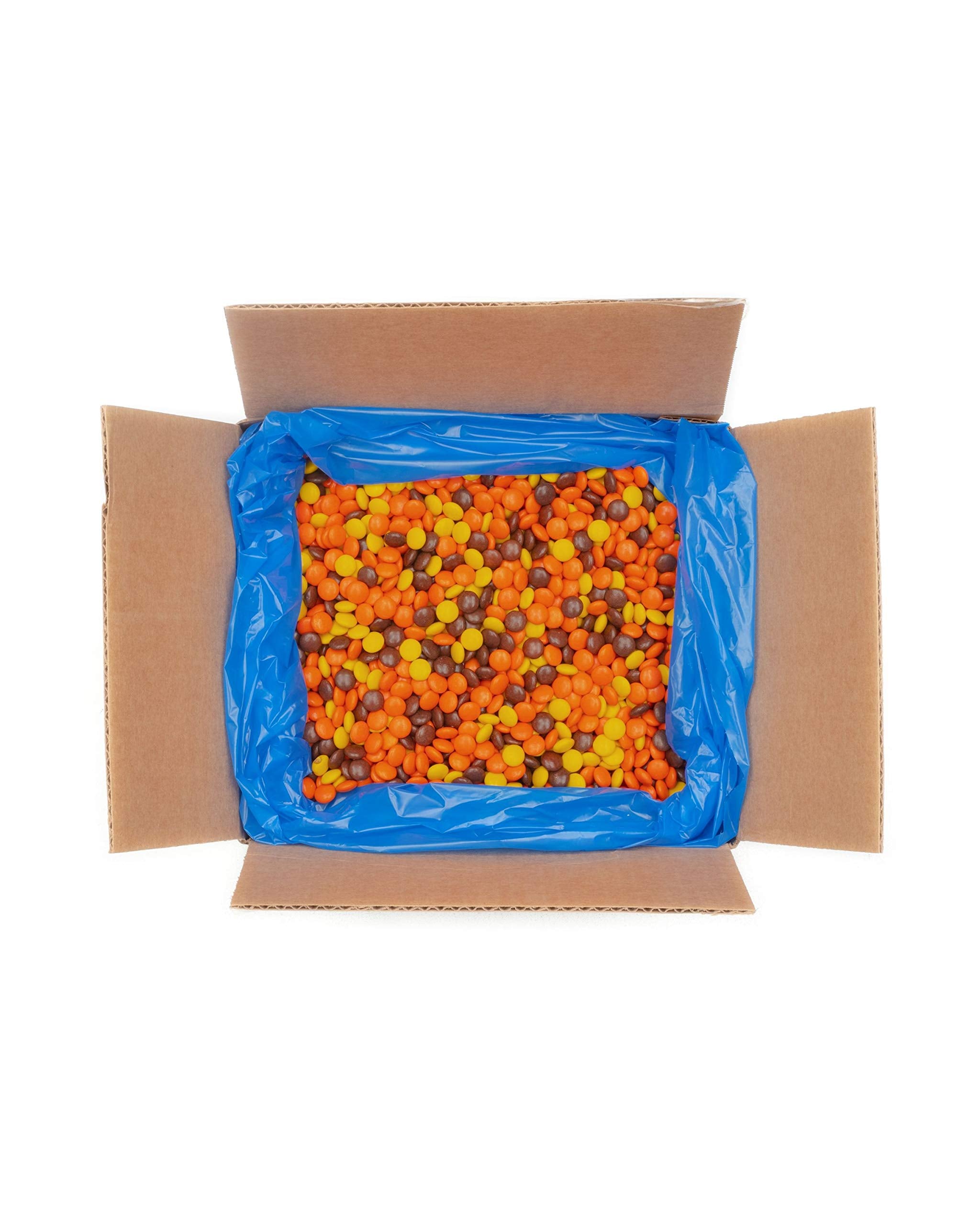 Reese's REESE'S PIECES Bulk, 25 Pound