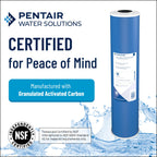 Pentair Pentek GAC-20BB Big Blue Carbon Water Filter, 20-Inch, Heavy Duty Granular Activated Carbon (GAC) Replacement Cartridge, 20" x 4.5"
