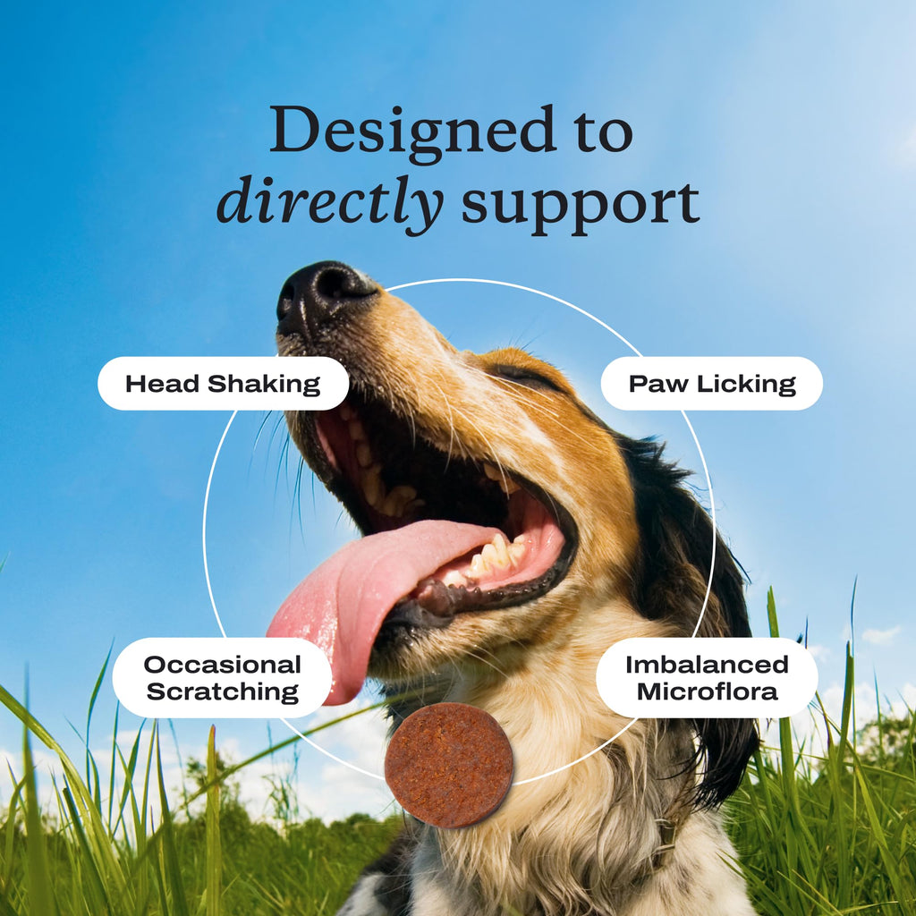 PetLab Co. Allergy & Immune Probiotic Chews, 30 Soft Chews, Pork