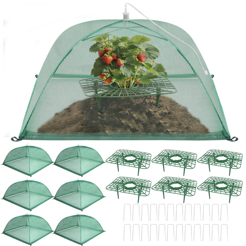 6 Sets Strawberry Plant Support with Mesh Plant Cover, Strawberry Growing Rack Kit with 24 Iron Plant Nails for Garden, Strawberry Growing Frame with Protective Net for Strawberries Tomatoes Veggies