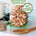 Back to the Roots Organic Oyster Mushroom Grow Kit, Harvest Gourmet Mushrooms In 10 Days