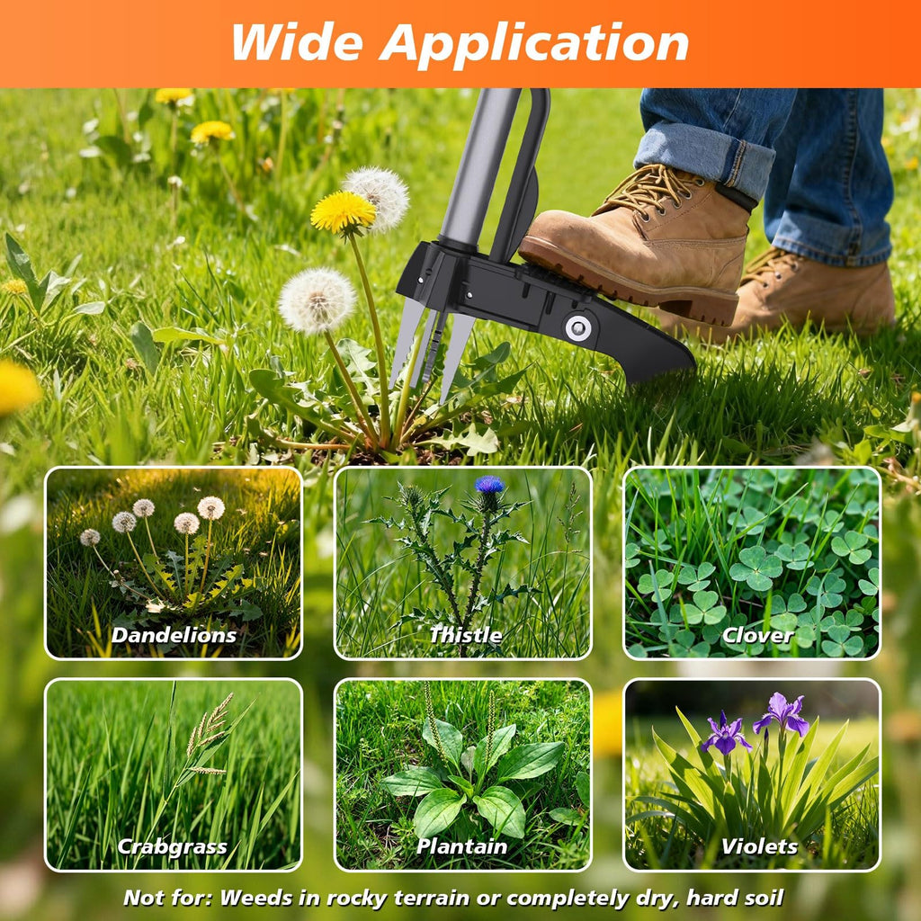 Aishkimo Stand Up Weed Puller Tool - 4-Claw Steel Head Hand Weeding Tool - 40" Retractable Handle with Easy-Eject Mechanism for Dandelions, Clover, No Bending or Kneeling