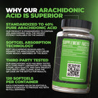 Huge Supplements Arachidone, Arachidonic Acid Supplement, Promotes Lean Mass & Increased Strength, Highest Dosed with 1000mg Per Serving, 120 Softgels