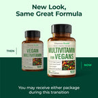 Vegan Multivitamin for Men and Women with Vitamins, Chelated Minerals, Vitamin D, B12, C, A & Zinc for Energy, Focus and Immune Health – Premium Womens and Mens Multivitamins & Multiminerals – 90 Tabs