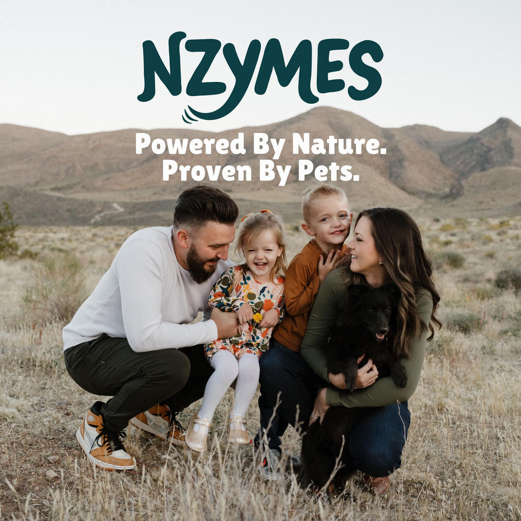 Nzymes® Antioxidant Treats - for Dogs Joints, HIPS, Paralysis, Skin, Coat, Hair Loss, Aging, Digestion, Neurological, Seizures - 60 Treats - Made in The USA