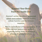 Avemar Fermented Wheat Germ Extract - Premium Tablets| Immune Support & Vitality | 300 Tablets 2x150