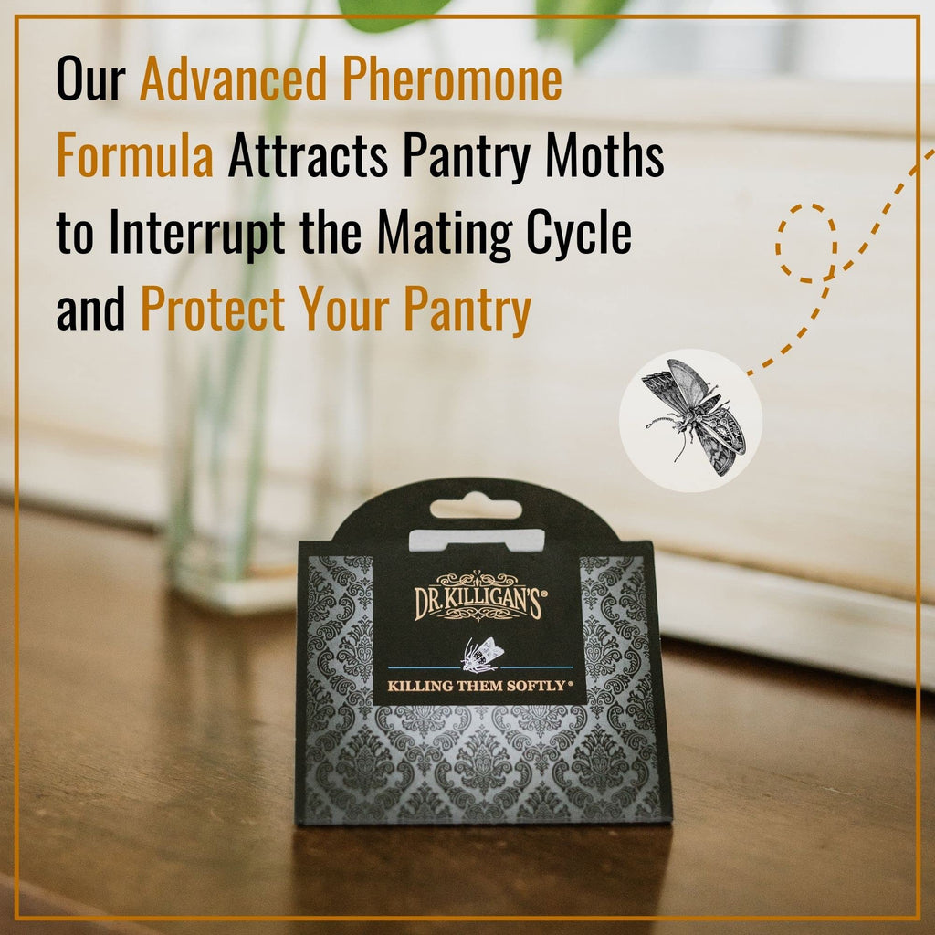 Dr. Killigan's Premium Double Potent Pantry Moth Traps with Pheromones Prime, Sticky Indian Meal Moth Traps for Kitchen, How to Get Rid of Moths in House (6 Pack, Black)