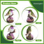 Hummingbird Garden Statues Bird Figurine Decor for Outdoor Yard Patio Lawn