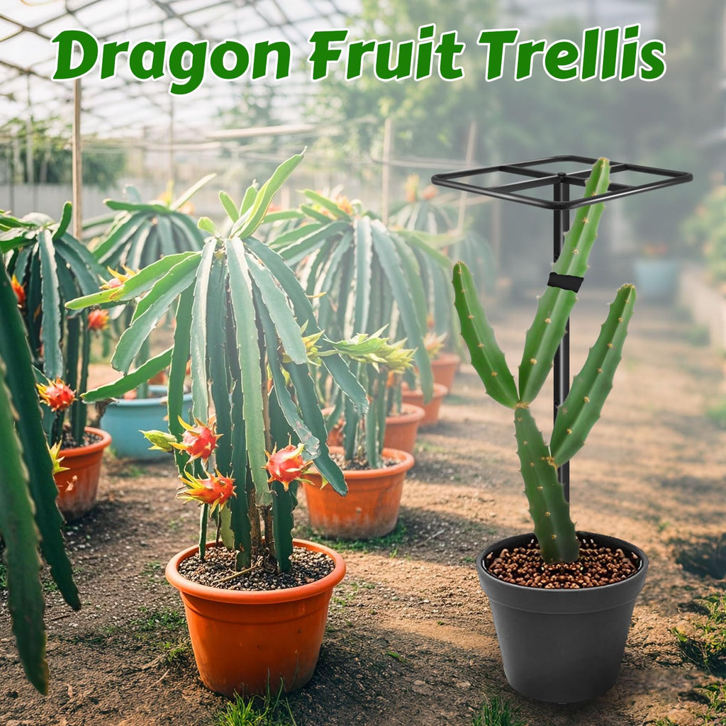 Gavinjitao Metal Dragon Fruit Trellis 61",Adjustable Dragon Fruit Plant