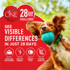 Purina ONE Lamb and Rice Dry Dog Food, 8 lb Bag