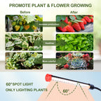 Game Changer! FECiDA 2026 2Pack Clip on Grow Lights for Single Pot Plant