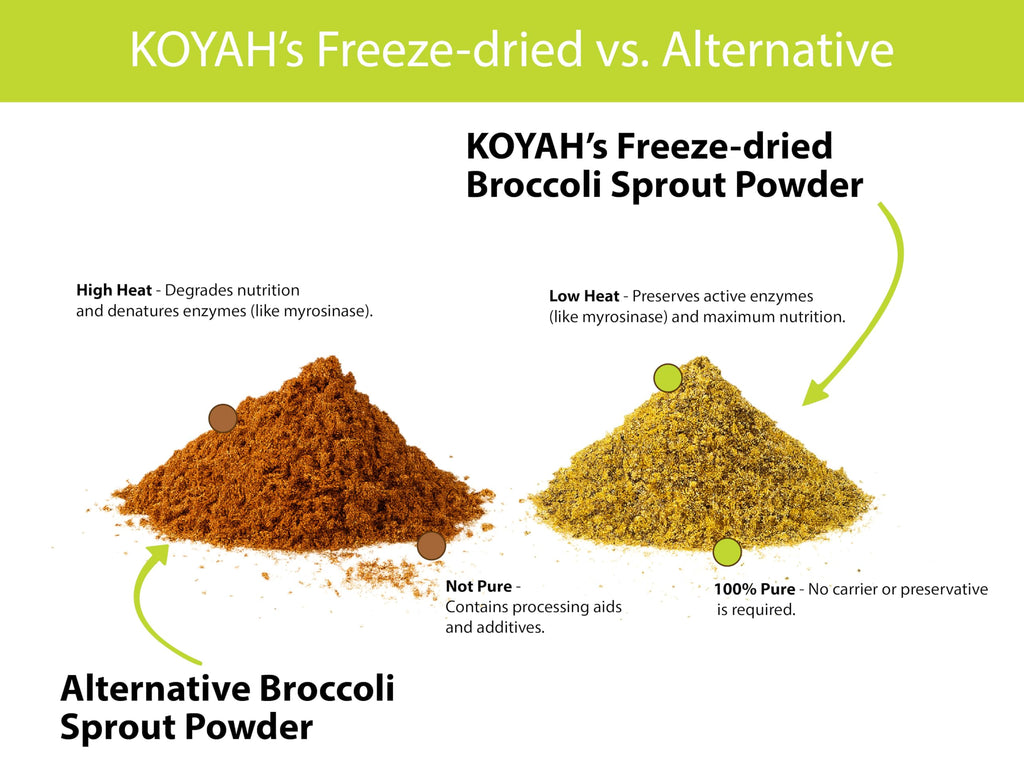 KOYAH - Organic USA Broccoli Sprout Powder (1 Scoop = 1/4 Cup Sprouts): 36 Servings, Freeze-Dried, Tested for Active Myrosinase and Glucoraphanin (Sulforaphane Glucosinolate)