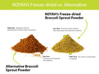 KOYAH - Organic USA Broccoli Sprout Powder (1 Scoop = 1/4 Cup Sprouts): 36 Servings, Freeze-Dried, Tested for Active Myrosinase and Glucoraphanin (Sulforaphane Glucosinolate)