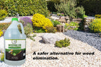 Natural Elements Weed Killer | Pet Safe, Safe Around Children | Natural Herbicide (1 Gallon)