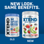 Xtend Sport BCAA Powder Strawberry Kiwi Splash - Electrolyte Powder for Recovery & Hydration with Amino Acids - 30 Servings