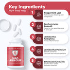 SIBO | IBS Relief (Clinical Grade Treatment) Bloating, Diarrhea, Leaky Gut, Gas | Delayed Release Peppermint | Supplement Effective On Irritable Bowel Syndrome & Small Intestine Bacteria Overgrowth