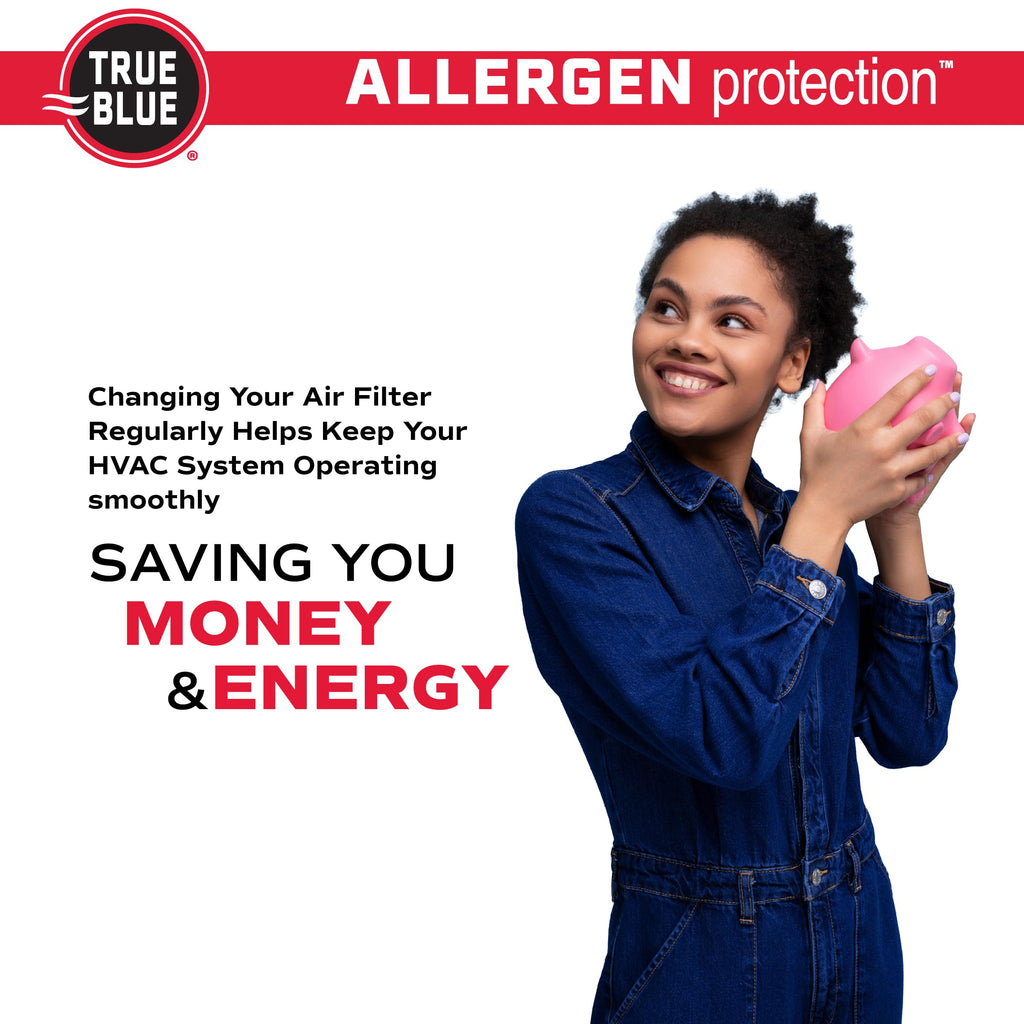True Blue 324241.4 Allergen 24-Inch by 24-Inch by 1-Inch Air Filter, 4-Pack