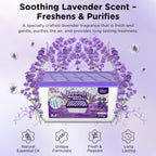 W&E Choice Moisture Absorbers with Lavender Scent, Portable Dehumidifier for Closet & Bathrooms, Kitchen, Humidity Absorber Odor Eliminator Absorber, 12Pack
