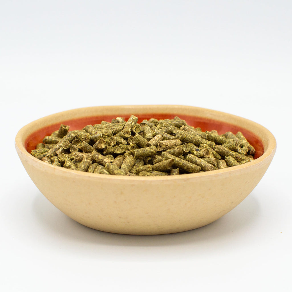 Oxbow Essentials Adult Rabbit Food, Timothy Hay Rabbit Pellets, USA, 10 lb
