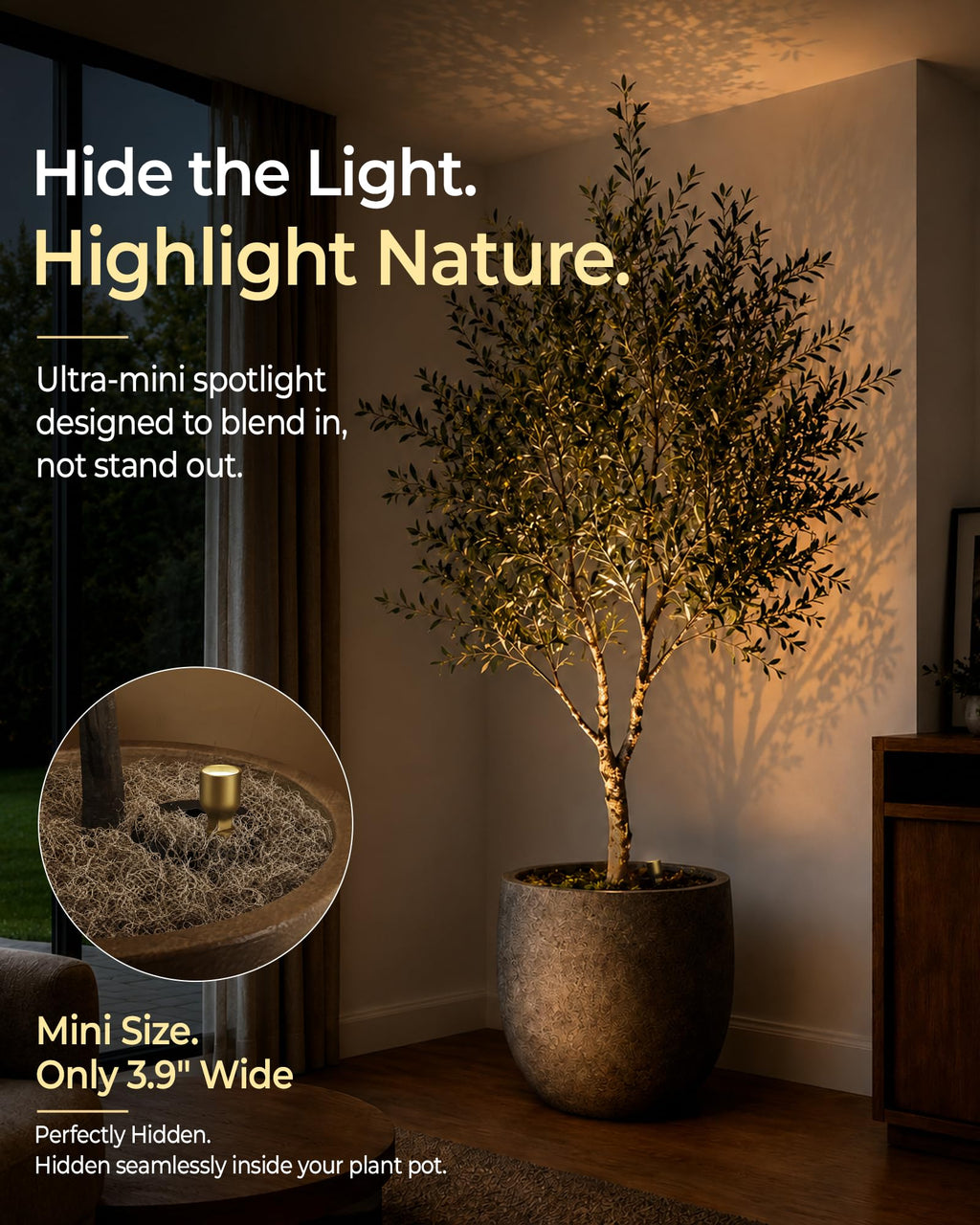 EZVALO Spotlight Indoor with Remote, 4000mAh Rechargeable Plant Spot Lights Indoor, Wireless Mini Uplights with Dimmable & 3-CCT, Timer, Accent Lighting for Pictures, Artwork, Displays (2-Pack)