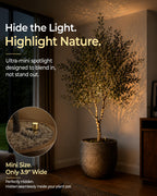 EZVALO Spotlight Indoor with Remote, 4000mAh Rechargeable Plant Spot Lights Indoor, Wireless Mini Uplights with Dimmable & 3-CCT, Timer, Accent Lighting for Pictures, Artwork, Displays (2-Pack)