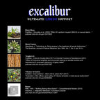 Excalibur - Libido Booster | Testosterone, Hormone & Libido Support for Men | Black Maca, Muira Puama, Tribulus Terrestris, Tongkat Ali, & Boron | One Month Supply, Boost Drive, Desire, and Blood Flow