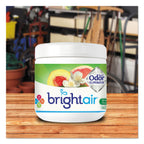 Bright Air Solid Air Freshener and Odor Eliminator, White Peach and Citrus, 14 Ounces