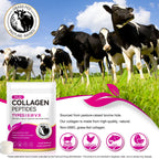 AEBEFBAW Multi Collagen Peptides Powder | Types I, II, III, V, X | 16 Oz (41 Servings) Hydrolyzed Collagen Peptides | Supports Healthy Skin, Joints, Hair, and Nails | Unflavored & Dissolves Easily