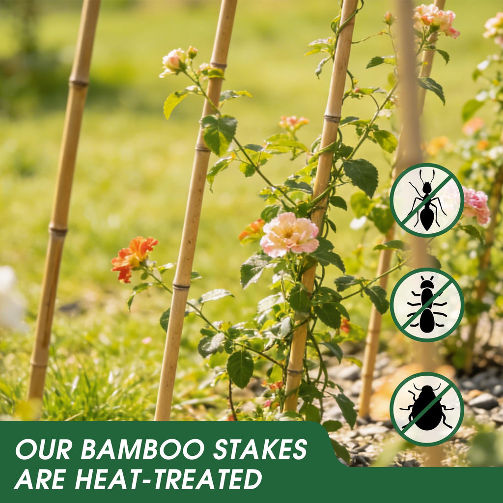 4 Feet Natural Bamboo Trellis 3 Pack, Oltara Fan-Shaped Plant Support Trellis for Outdoor and Indoor Climbing Plants, Potted Plants, Vegetables, Cucumbers, Tomatoes