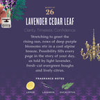 Caldrea Multi-surface Countertop Spray Cleaner, Made with Vegetable Protein Extract, Lavender Cedar Leaf, 16 oz, 3 Pack