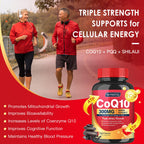 Quinovit CoQ10 300mg with PQQ & Shilajit - Powerful Antioxidant for Heart & Brain Health and Energy Production - High Absorption with Bioperine Coenzyme Q10 Supplements - 120 Capsules