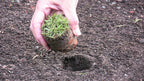 ProPlugger 5-IN-1 Lawn Tool and Garden Tool, Bulb Planter, Weeder, Sod Plugger, Annual Planter, Soil Test
