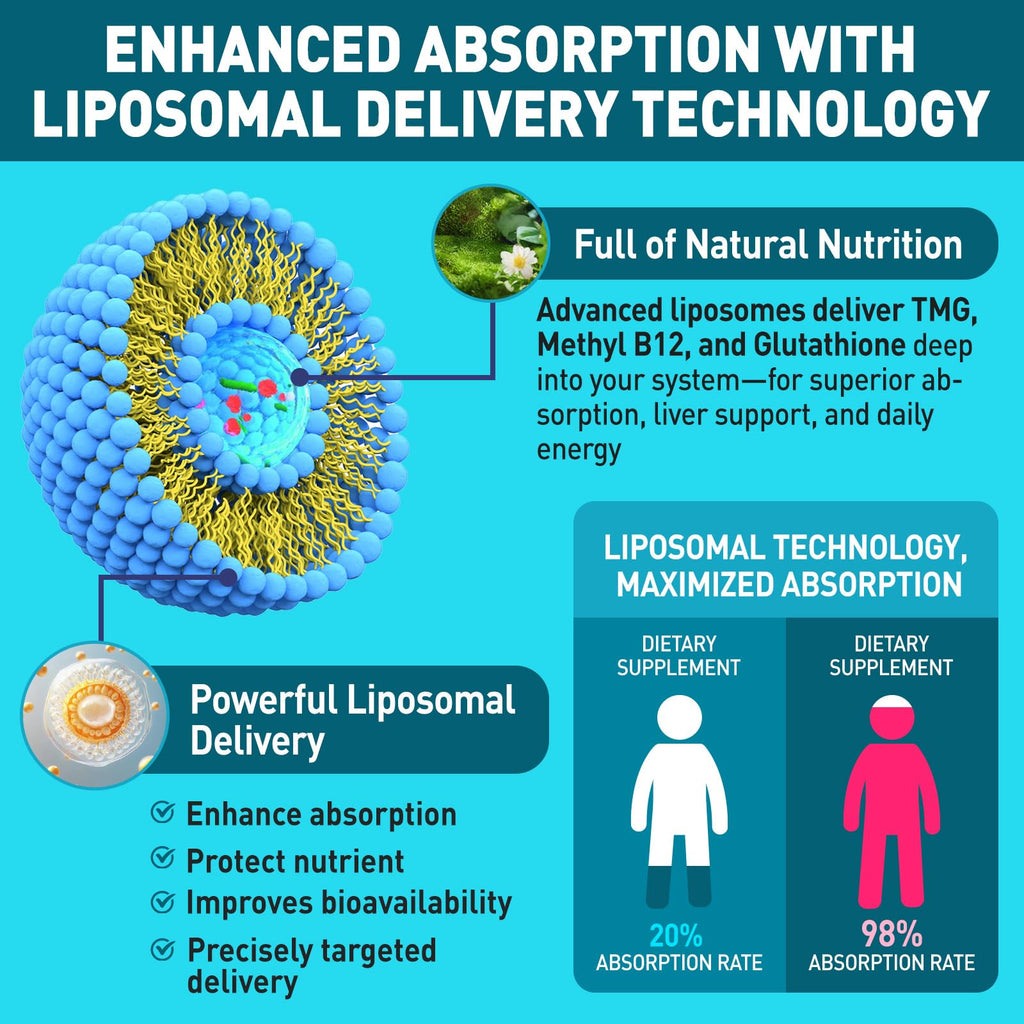 HOLLEGEND Liposomal TMG Supplements Liquid Drops, 1000mg Trimethylglycine as Betaine Anhydrous for Methylation, Antioxidant & Brain & Liver Health, High Absorption, Non-GMO, Vegan, Blueberry, 2 FL Oz