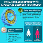HOLLEGEND Liposomal TMG Supplements Liquid Drops, 1000mg Trimethylglycine as Betaine Anhydrous for Methylation, Antioxidant & Brain & Liver Health, High Absorption, Non-GMO, Vegan, Blueberry, 2 FL Oz
