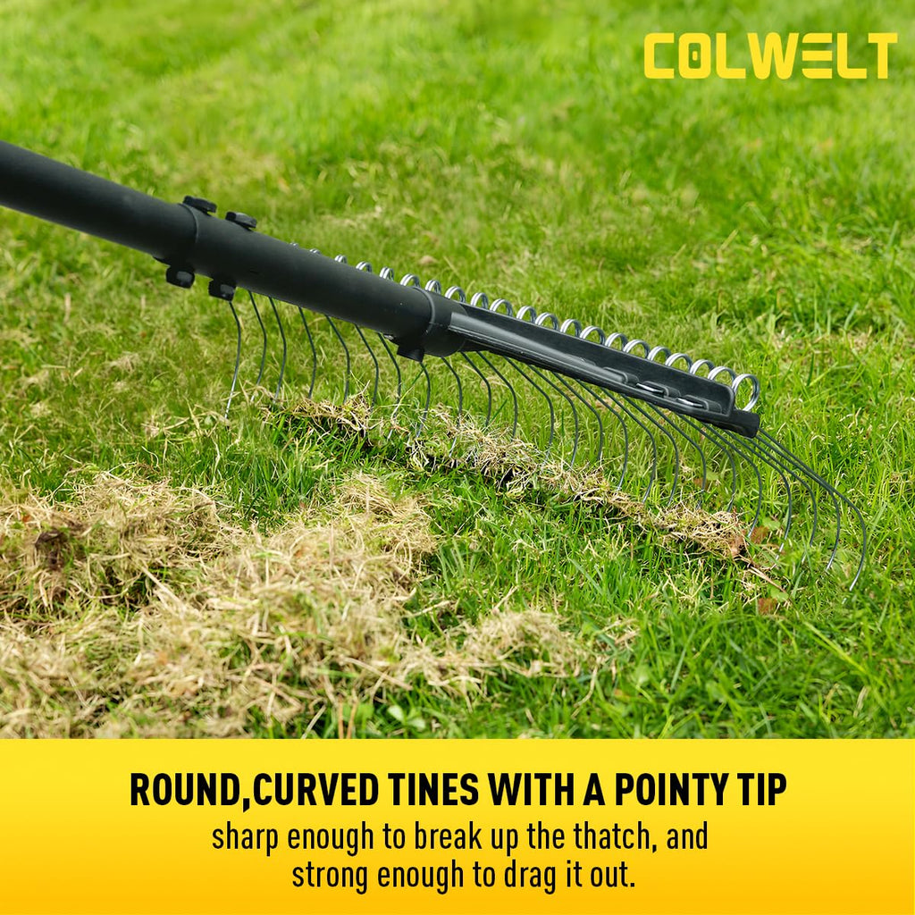 Colwelt Thatch Rake, Dethatcher Rake with Thin, Curved Spring Steel Tines, Dethatching Thatching Rake for Lawns with 61’’ Steel Handle, Lawn Tine Rakes for Pine Needles, Dead Grass, Garden Debris