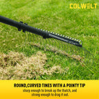 Colwelt Thatch Rake, Dethatcher Rake with Thin, Curved Spring Steel Tines, Dethatching Thatching Rake for Lawns with 61’’ Steel Handle, Lawn Tine Rakes for Pine Needles, Dead Grass, Garden Debris